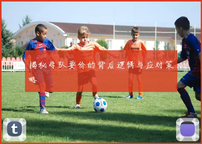 揭秘母队要价的背后逻辑与应对策略