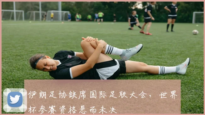 伊朗足协缺席国际足联大会，世界杯参赛资格悬而未决