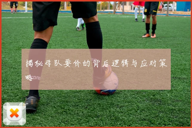 揭秘母队要价的背后逻辑与应对策略